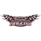 University of Northwestern Ohio Logo