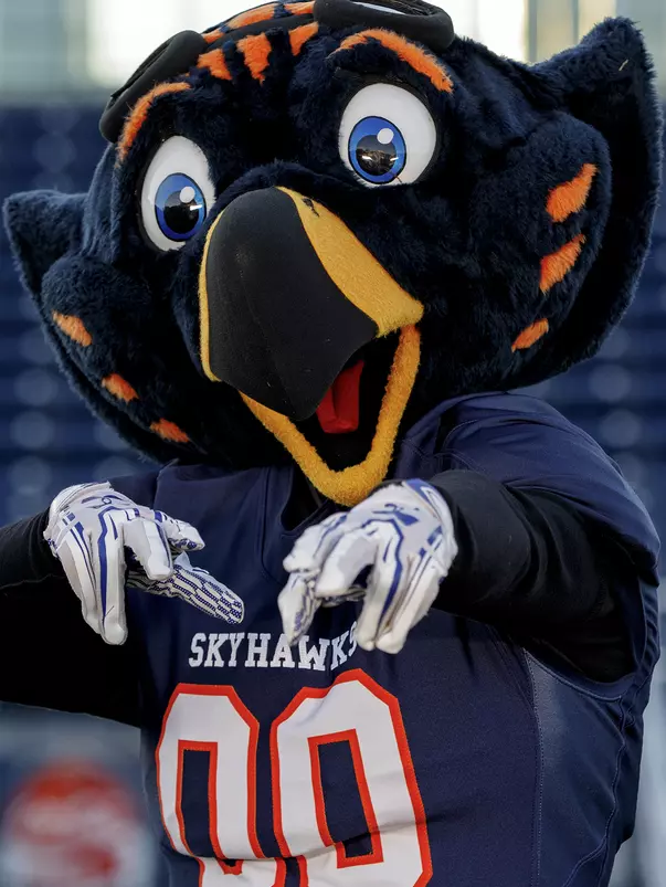Captain Skyhawk