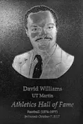 David Williams*