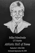Mike Meschede*