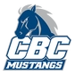Central Baptist College Logo
