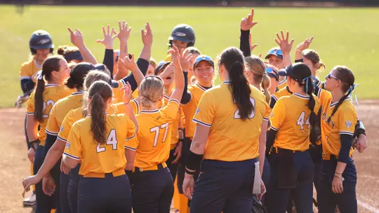 Softball Huddle with arms in the air