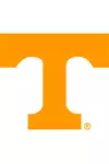 Power T Logo