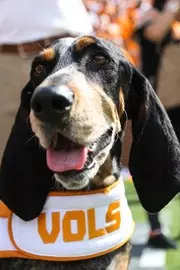Smokey Tennessee vs. South Carolina