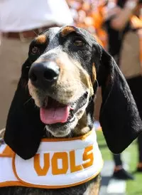 Smokey Tennessee vs. South Carolina