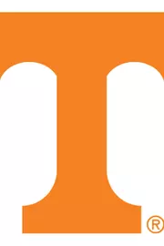 Mental Health & Wellness