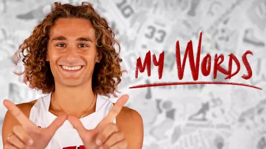 Seven Years a Badger