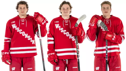 Field of Dreams: Illinois natives fulfill childhood hockey fantasies at Wrigley Field
