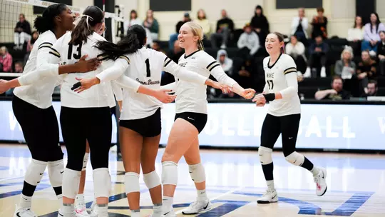 Volleyball celebration