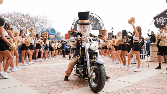 The Deacons' game against the North Carolina Tar Heels on Saturday, November 15, 2025 at Allegacy Federal Credit Union Stadium in Winston-Salem, NC / Wake Forest Athletics