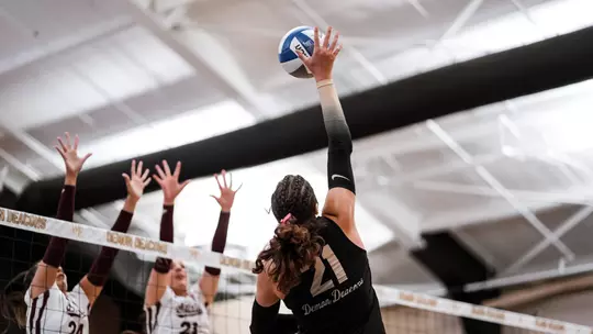 Lyla Stewart