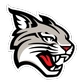 Davidson College Logo