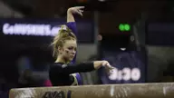 GymDawgs Post Season Best 195.175