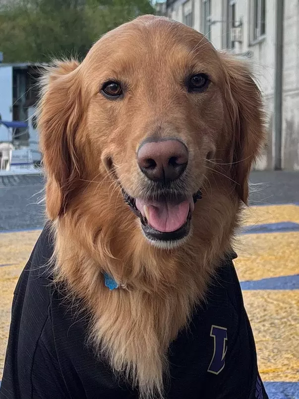 Dutton, the UW women's rowing team's chief morale officer