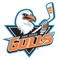 San Diego Gulls Logo