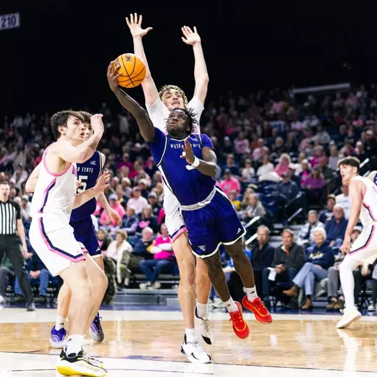 Tijan Saine 2026 at Montana State