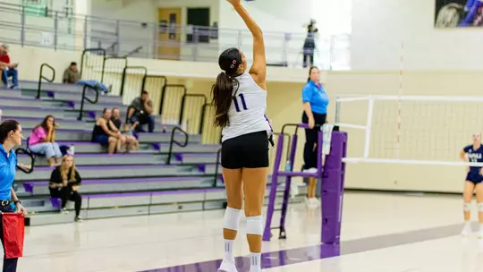 VB Loss to NAU