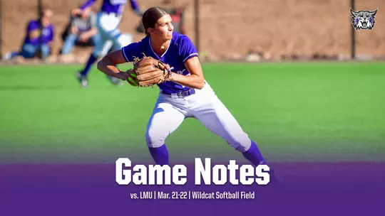 SB Game Notes