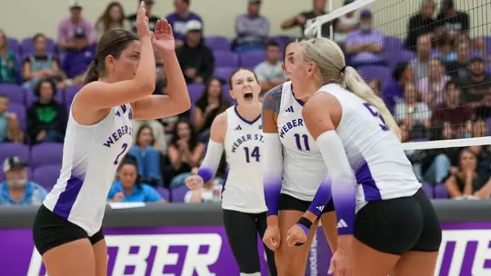Volleyball team action 206