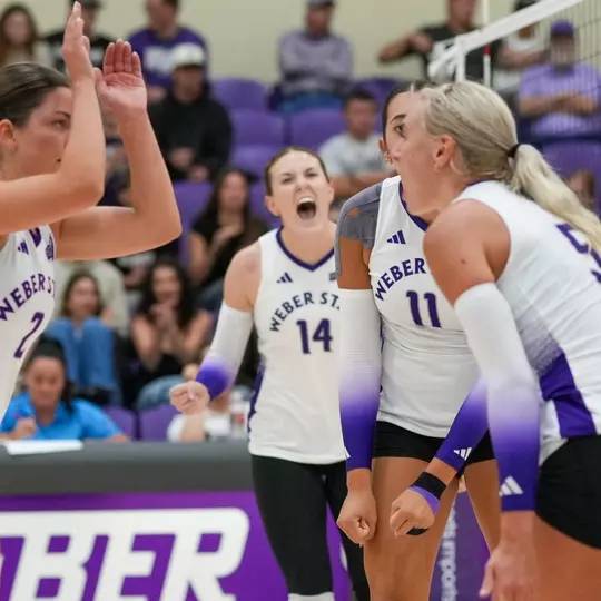 Volleyball team action 206