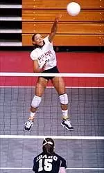 WSU Sweeps Tennessee To Advance In NCAAs