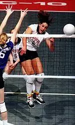 California Upsets No. 17 WSU Volleyball in Five Games