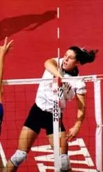 Florida Halts Washington State Volleyball Plans for Final Four