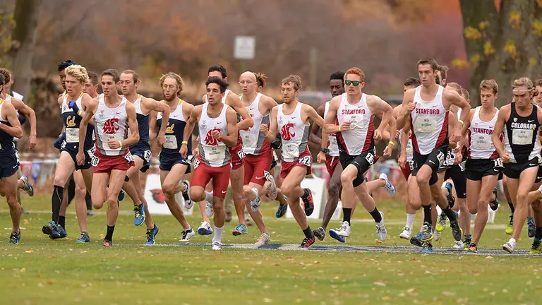 Cougar Cross Country Heads to NCAA Championships