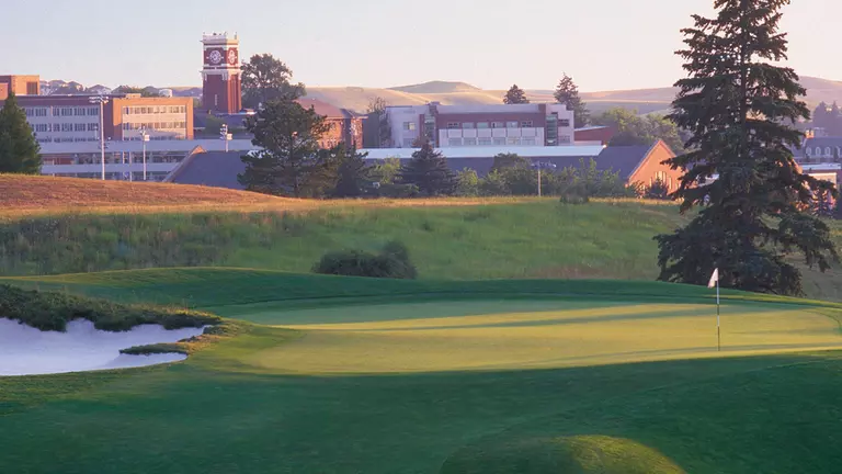 Cougars Release 2015-16 Men?s Golf Schedule