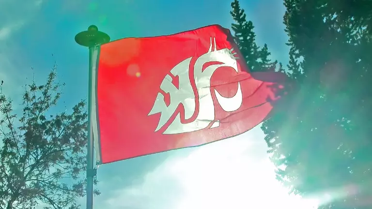 Tailgating with FUNATION on Bacon Weekend