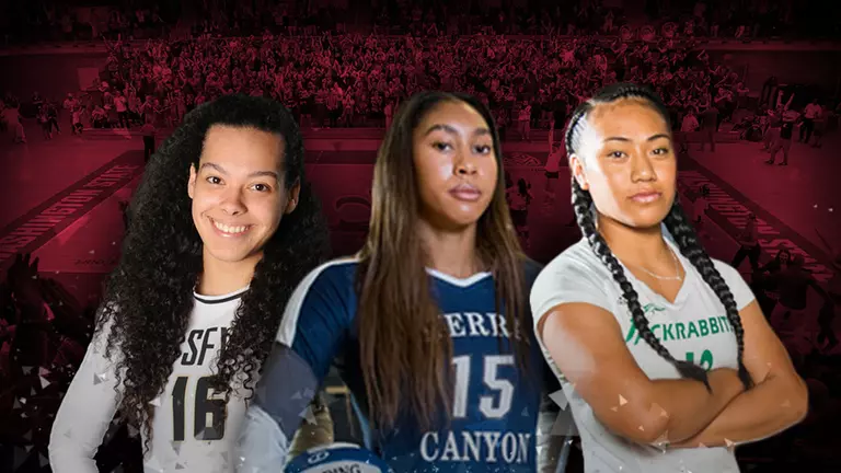 Volleyball Inks Three Outstanding Players for 2017