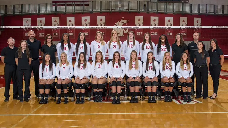 Cougar Volleyball Earns NCAA Championship Bid