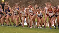 Cross Country Teams Earn National Academic Honors