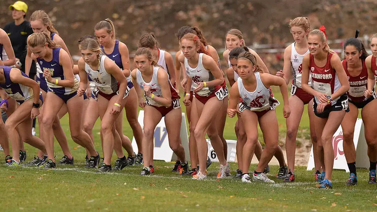 Cross Country Teams Earn National Academic Honors