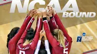 Cougars Return to NCAA Volleyball Championship Tournament