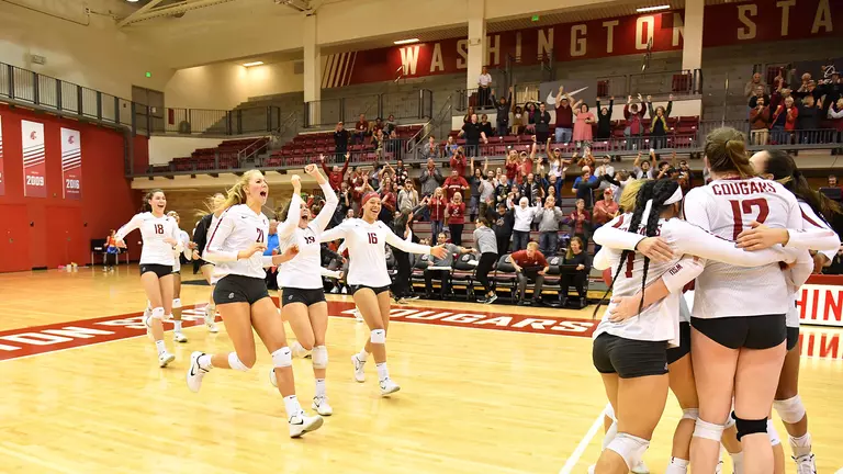 Volleyball Returns to NCAA Championship Tournament