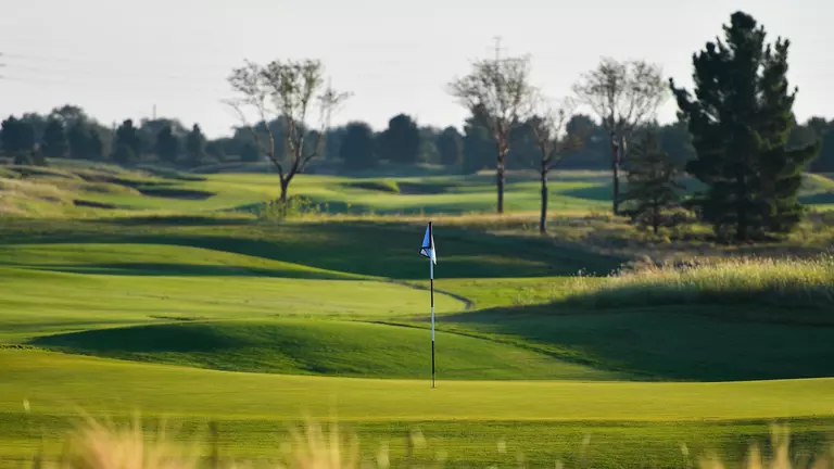 Alivia Brown to Begin Action at NCAA Lubbock Regional