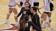 No. 19 Volleyball Sweeps Through Utah For Third Straight Win