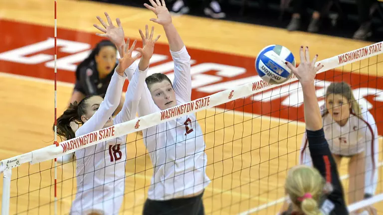 Volleyball Hits Skid Against Cal at Home