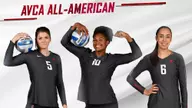 Volleyball Sees Three Selected to AVCA All-America Teams