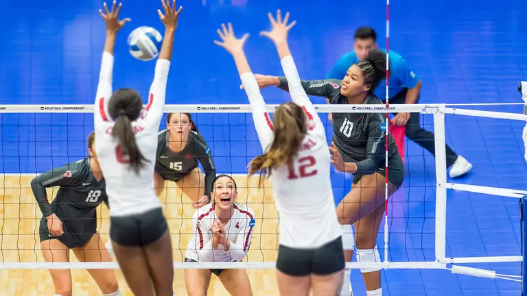 No. 16 Seed Volleyball Falls to No. 1 Seed Stanford in Sweet Sixteen