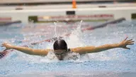 Cougar Swimming Announces 2018-19 Schedule