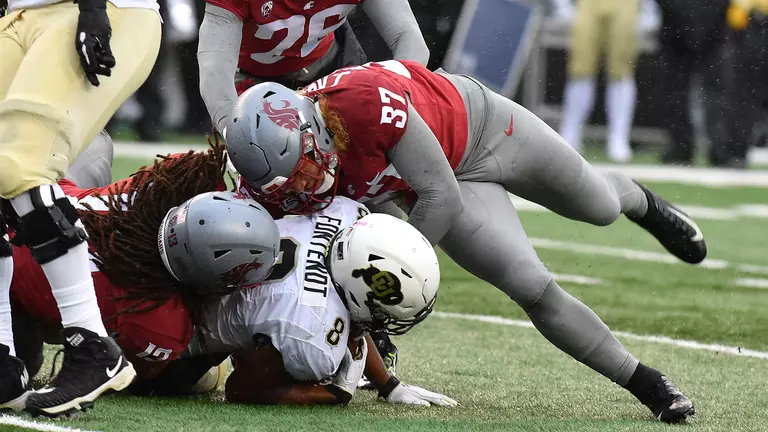 Gordon, Borghi lead Washington State past Colorado 41-10