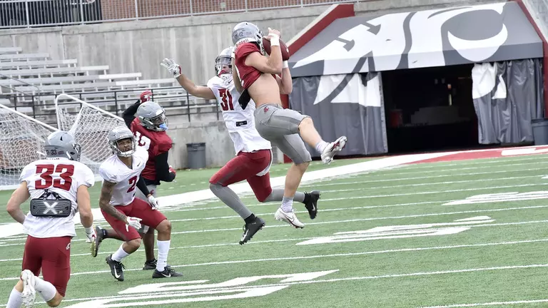 Cougars Hold First Scrimmage in Martin Stadium