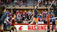 Volleyball set for Oregon road trip; Cougs to play at OSU Friday night