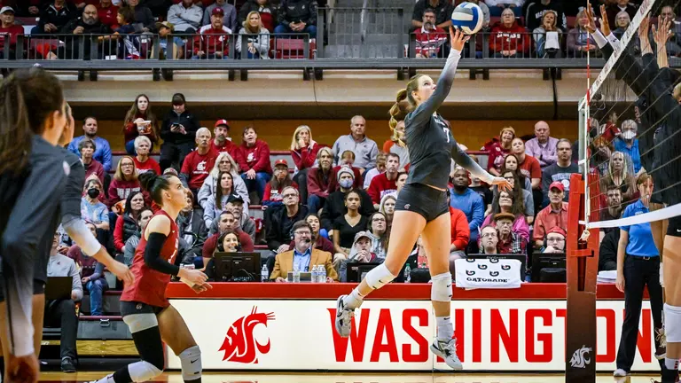 Volleyball set for Oregon road trip; Cougs to play at OSU Friday night