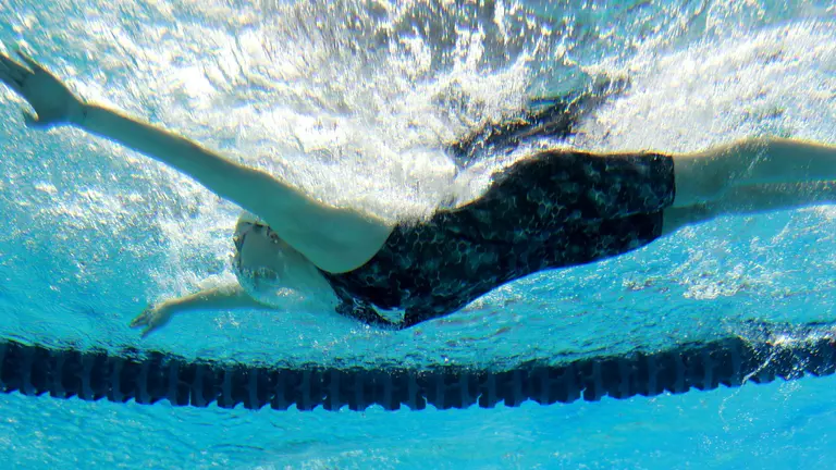 Three Cougar Swimmers Named CSCAA Scholar All-Americans