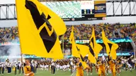 Gold and Blue Cheer Teams Announced