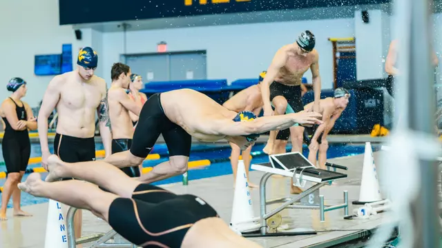 SWIM: Loyola (Md.) Recap