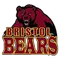 Bristol University Logo
